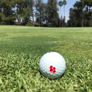 Meet your Posher, Scott